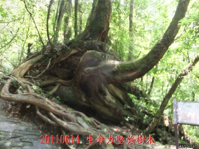 20110614  拉拉山福巴越嶺古道福山自行車之旅
