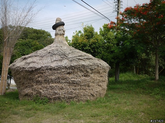 鹿廚坑步道上的輕嘆