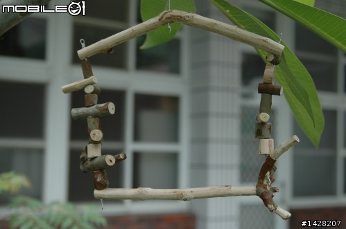 鸚鵡的玩具製作
