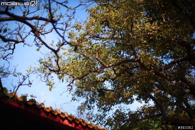 Canon EF50F1.0L 午後忠烈祠