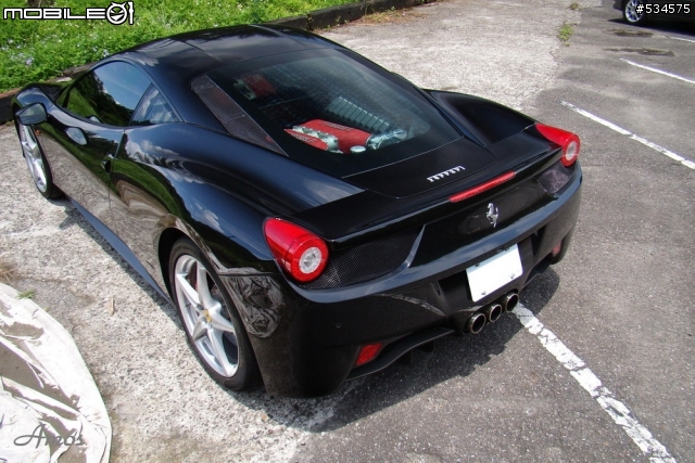 早起的鳥兒有蟲吃(圖有點多)