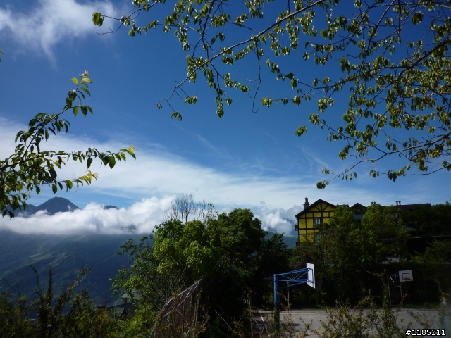 今年夏天騎機車帶丁小兔上合歡山看玉山杜鵑花