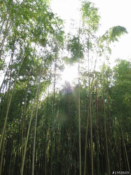 [開箱] 雲河灰ALTIS影音天窗特仕~上山下海之三日破千(圖多)
