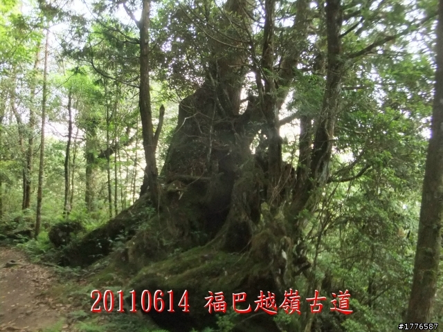 20110614  拉拉山福巴越嶺古道福山自行車之旅