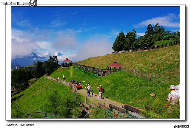週休清境廬山二日遊之清境篇
