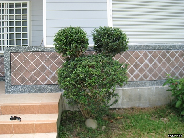 坐山觀海的山中小居 （全文完）