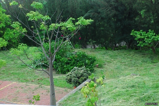 坐山觀海的山中小居 （全文完）