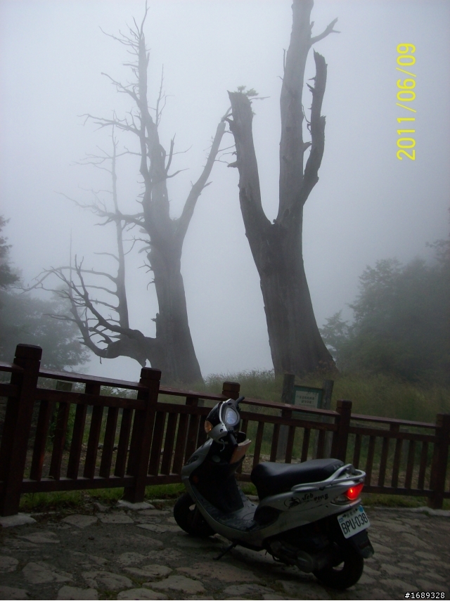 2011/6/9~6/10--小弟的首度挑戰環半島失敗之殘念新中橫二日遊［文多+圖多］