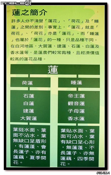 O 家的朋友,一起來蓋2011年蓮花大樓囉!