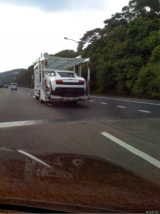 國道3號上不能動的小牛...