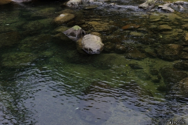 蓬萊溪護魚步道
