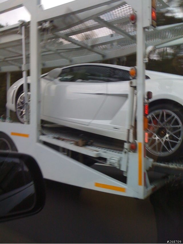 國道3號上不能動的小牛...