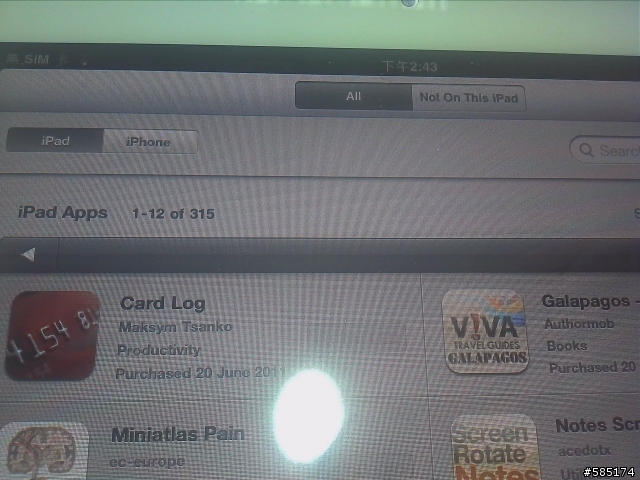 IPAD 軟體購買統計