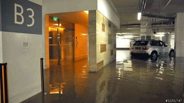 牛兒馬兒都來泡澡囉，綠青蛙也來湊一腳