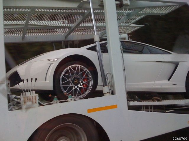 國道3號上不能動的小牛...