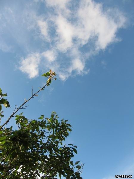 [開箱] 雲河灰ALTIS影音天窗特仕~上山下海之三日破千(圖多)