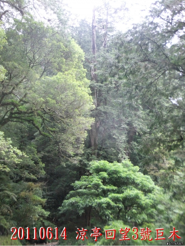 20110614  拉拉山福巴越嶺古道福山自行車之旅