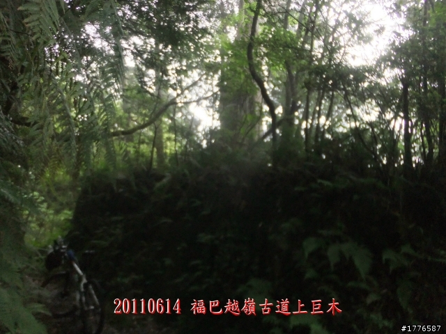 20110614  拉拉山福巴越嶺古道福山自行車之旅