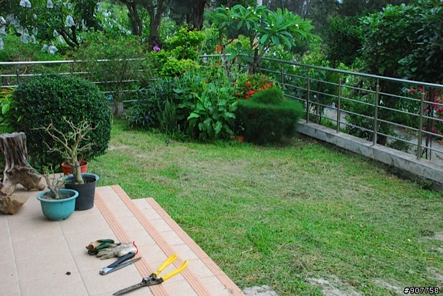 坐山觀海的山中小居 （全文完）