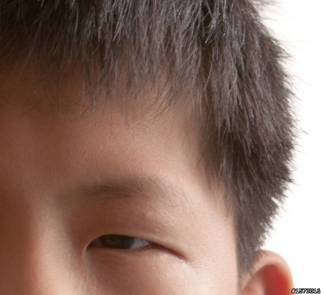 SIGMA 70-200mm F2.8 APO EX DG OS HSM 簡易開箱及不專業測試
