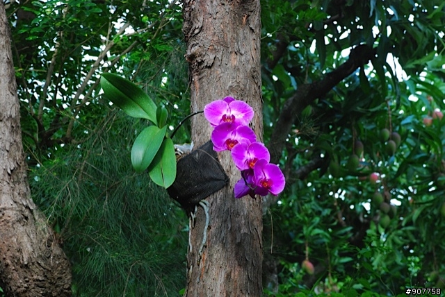 坐山觀海的山中小居 （全文完）