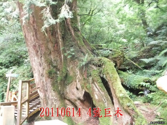 20110614  拉拉山福巴越嶺古道福山自行車之旅