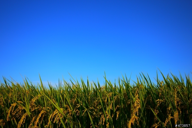 GF2也可以拍出很美的藍  一起分享這幾天烈陽高照的藍天吧.