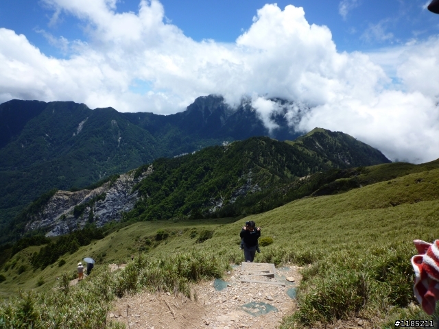 今年夏天騎機車帶丁小兔上合歡山看玉山杜鵑花
