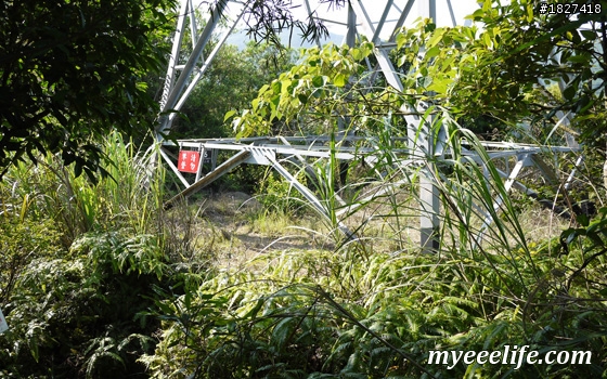 碧山巖一下午小旅行 – 中級篇 (一)：探尋白石湖地名中的「白石」，圓覺尖攻頂！