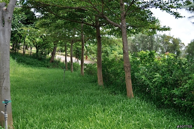 坐山觀海的山中小居 （全文完）