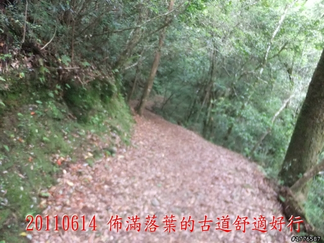 20110614  拉拉山福巴越嶺古道福山自行車之旅