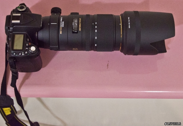 SIGMA 70-200mm F2.8 APO EX DG OS HSM 簡易開箱及不專業測試