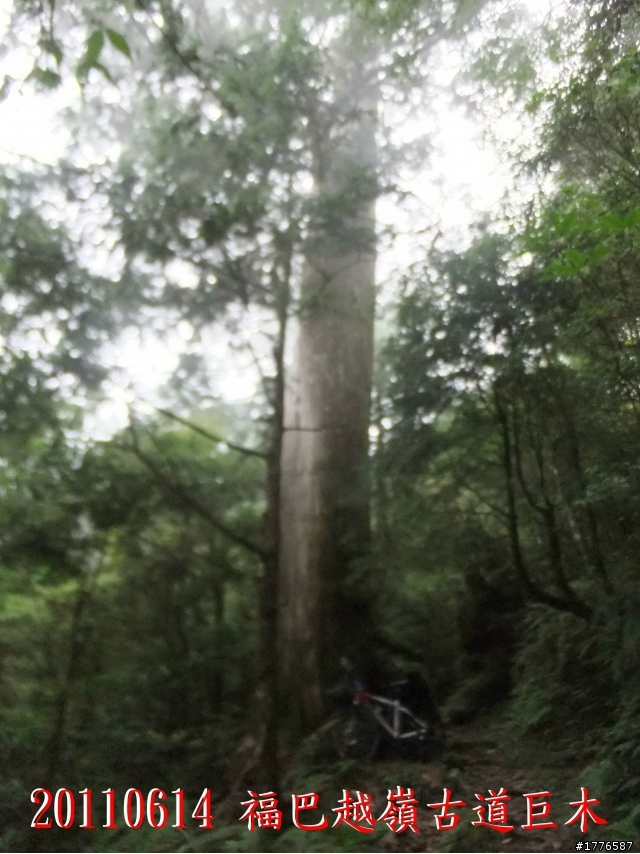 20110614  拉拉山福巴越嶺古道福山自行車之旅