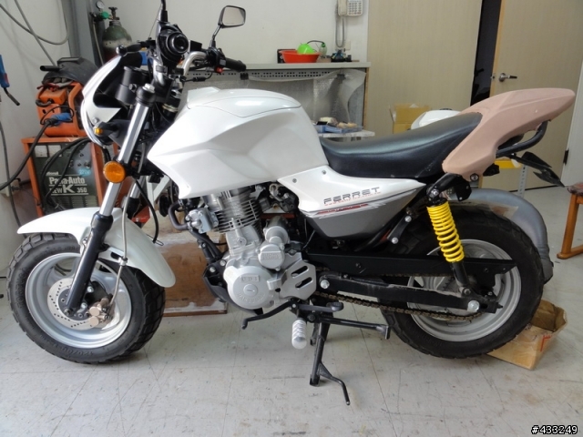 2011 Mini 小雲豹 小改款在出擊~~