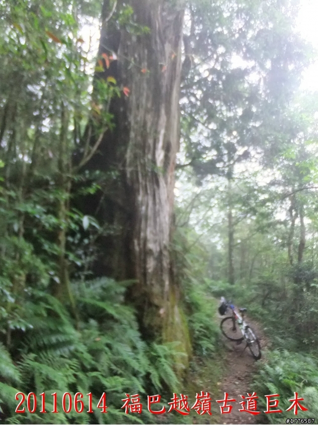 20110614  拉拉山福巴越嶺古道福山自行車之旅
