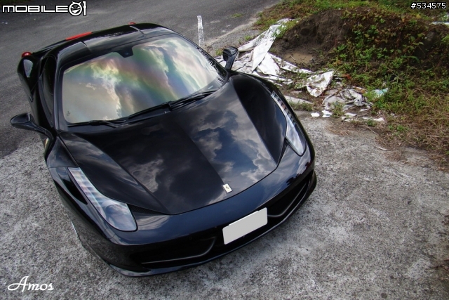 早起的鳥兒有蟲吃(圖有點多)