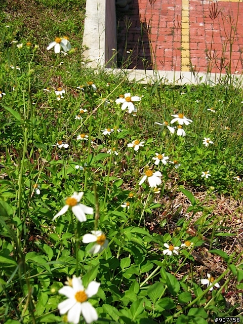 坐山觀海的山中小居 （全文完）