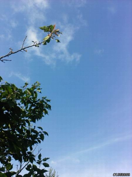 [開箱] 雲河灰ALTIS影音天窗特仕~上山下海之三日破千(圖多)