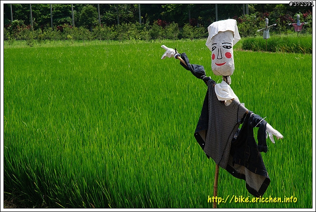 1 2 3 稻草人集合 [Eric的單車日記]