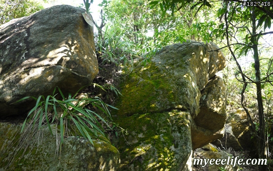 碧山巖一下午小旅行 – 中級篇 (一)：探尋白石湖地名中的「白石」，圓覺尖攻頂！