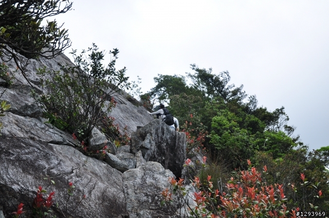 久違的鳶嘴山