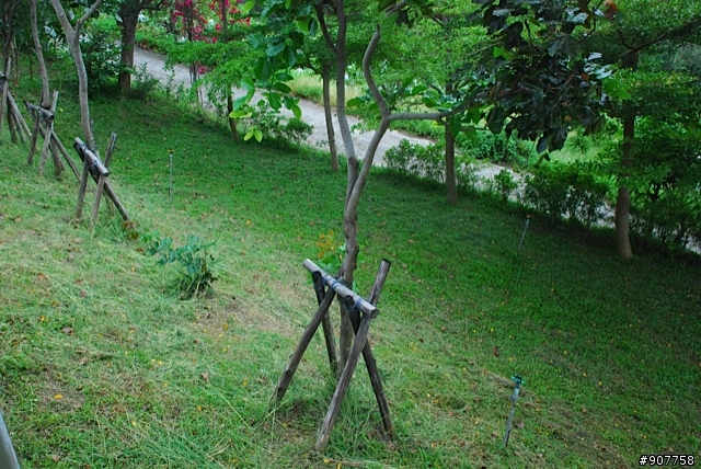 坐山觀海的山中小居 （全文完）