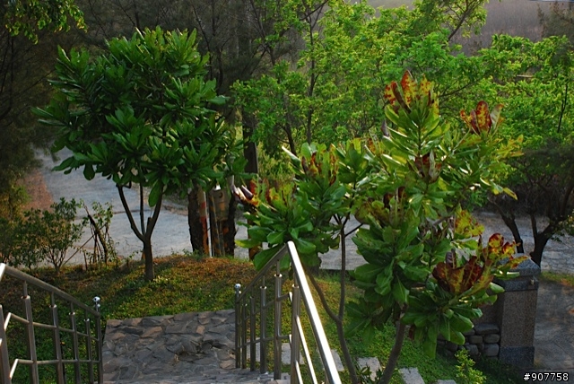 坐山觀海的山中小居 （全文完）