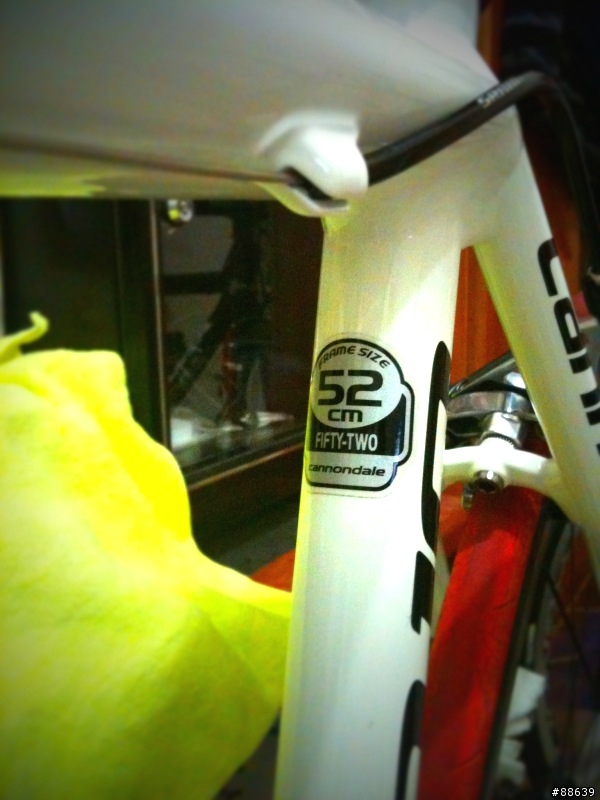 2011公路車開箱文