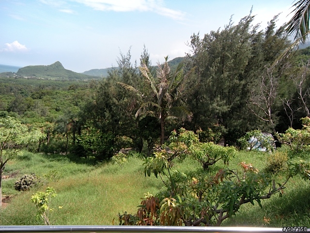 坐山觀海的山中小居 （全文完）