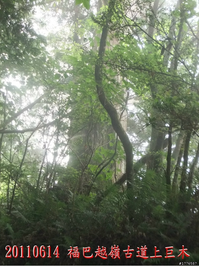 20110614  拉拉山福巴越嶺古道福山自行車之旅
