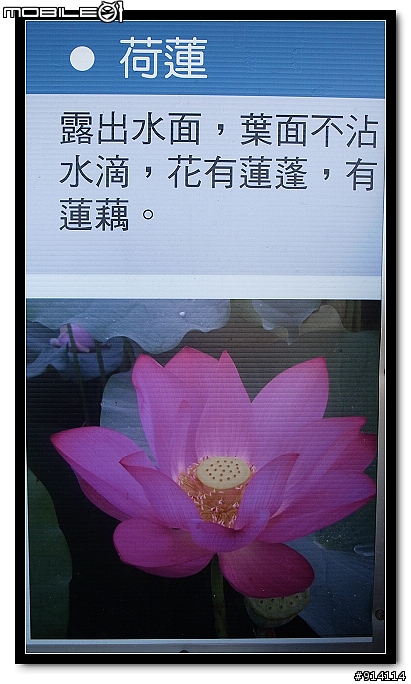 O 家的朋友,一起來蓋2011年蓮花大樓囉!