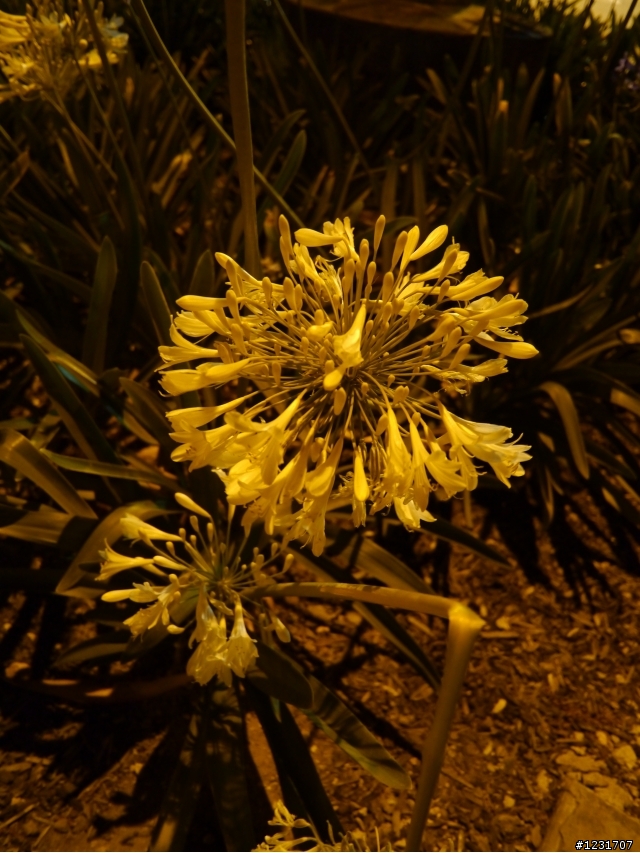 G3非常之不專業開箱文~(更新6/24多了一些實拍照)