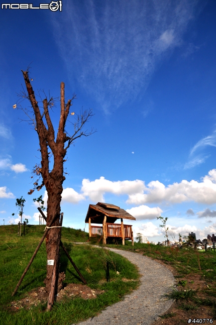 D90+16-85 高雄中都濕地公園試拍