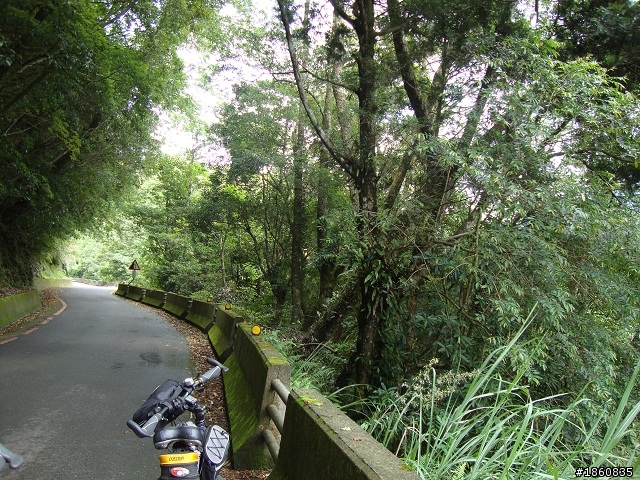 北橫單車遊記